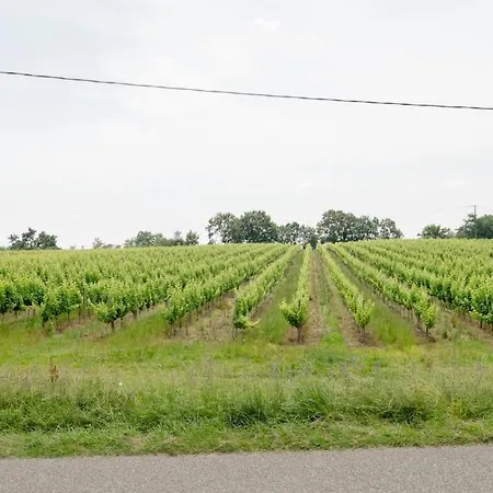 Holiday home Le Campane - Piscine Partagee Borne Recharge Vehicule 22kwh