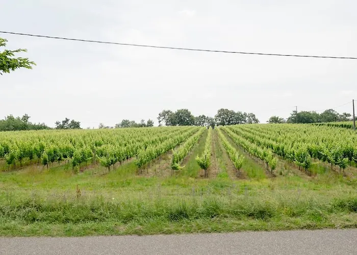 Tatil Evi Le Campane - Piscine Partagee Borne Recharge Vehicule 22kwh